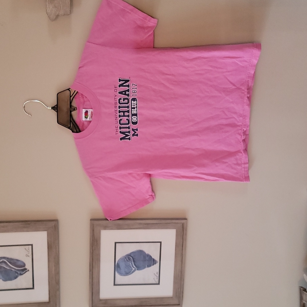 University of Michigan pink shirt 14/16